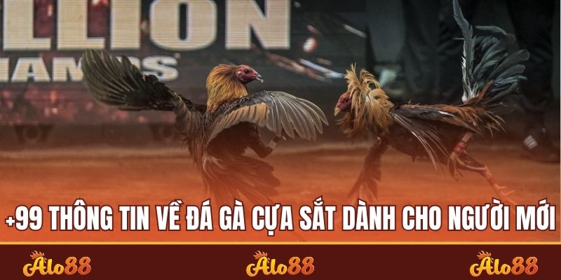 Đá gà cựa sắt