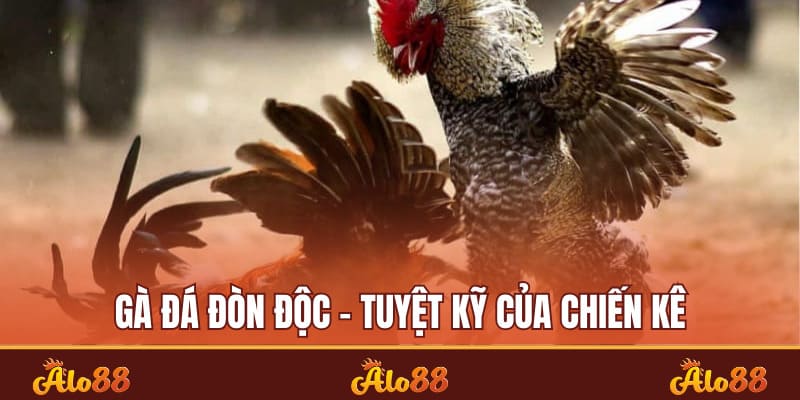 Gà đá đòn độc