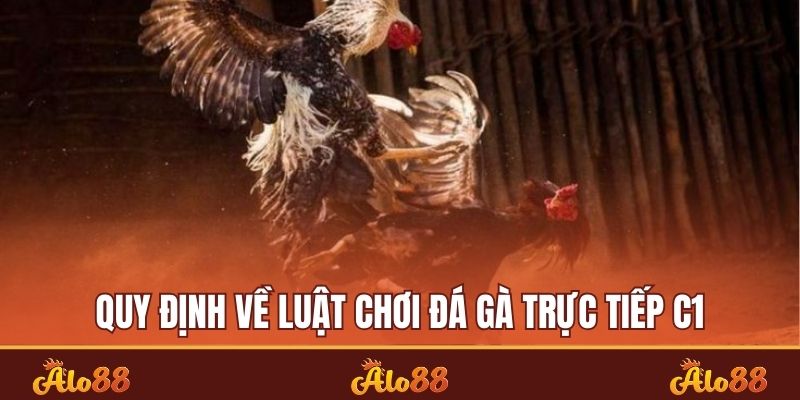 Trải Nghiệm big win88 - Thế Giới Của Những Cuộc Chiến Kịch Tính